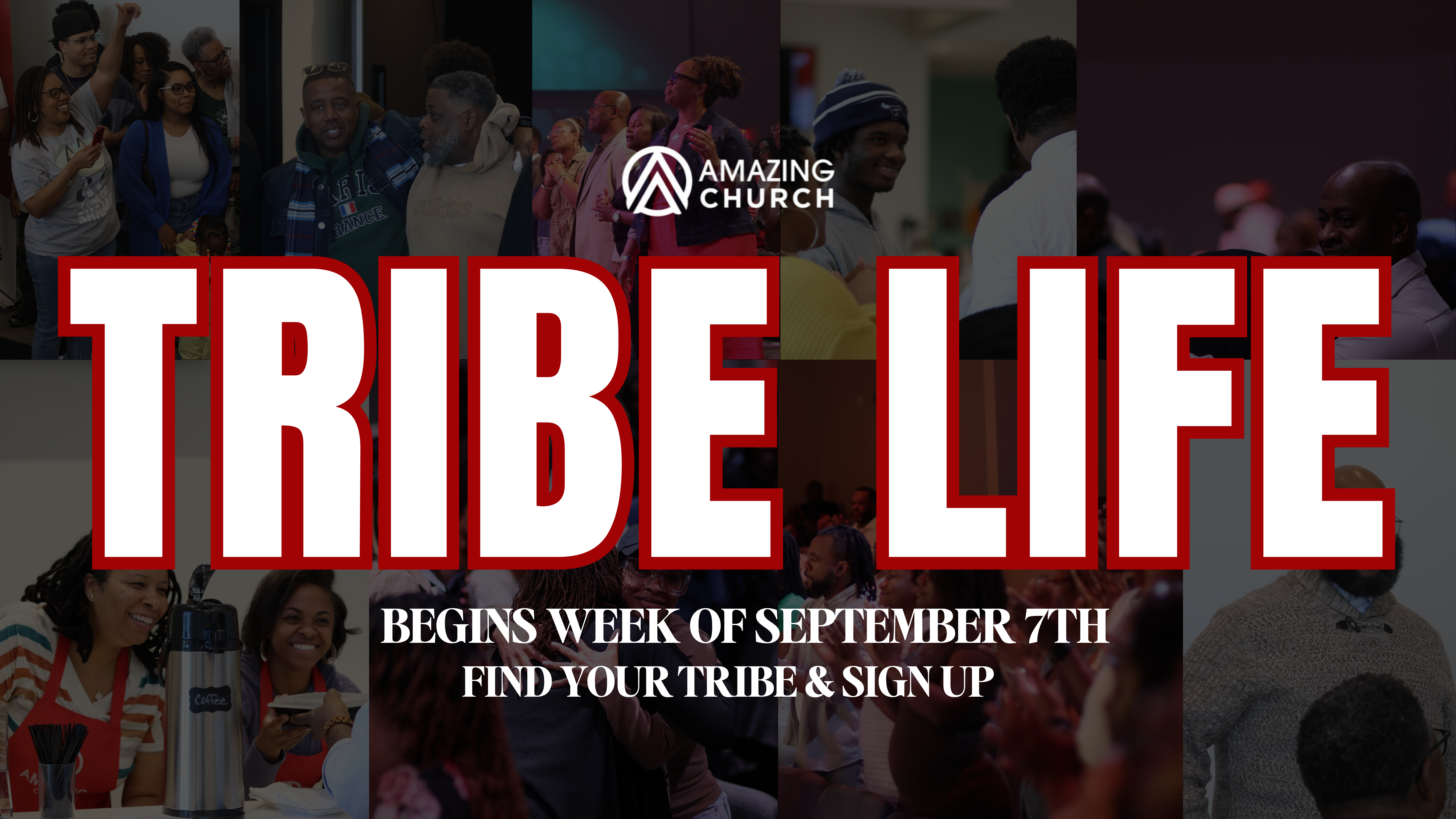 Tribe Life